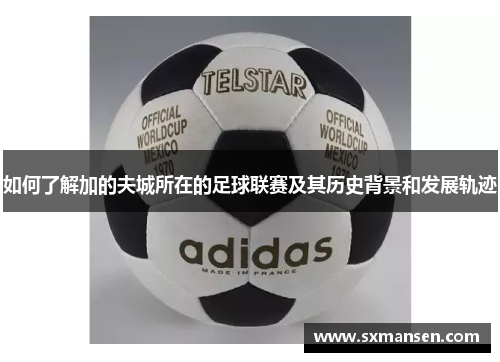 如何了解加的夫城所在的足球联赛及其历史背景和发展轨迹